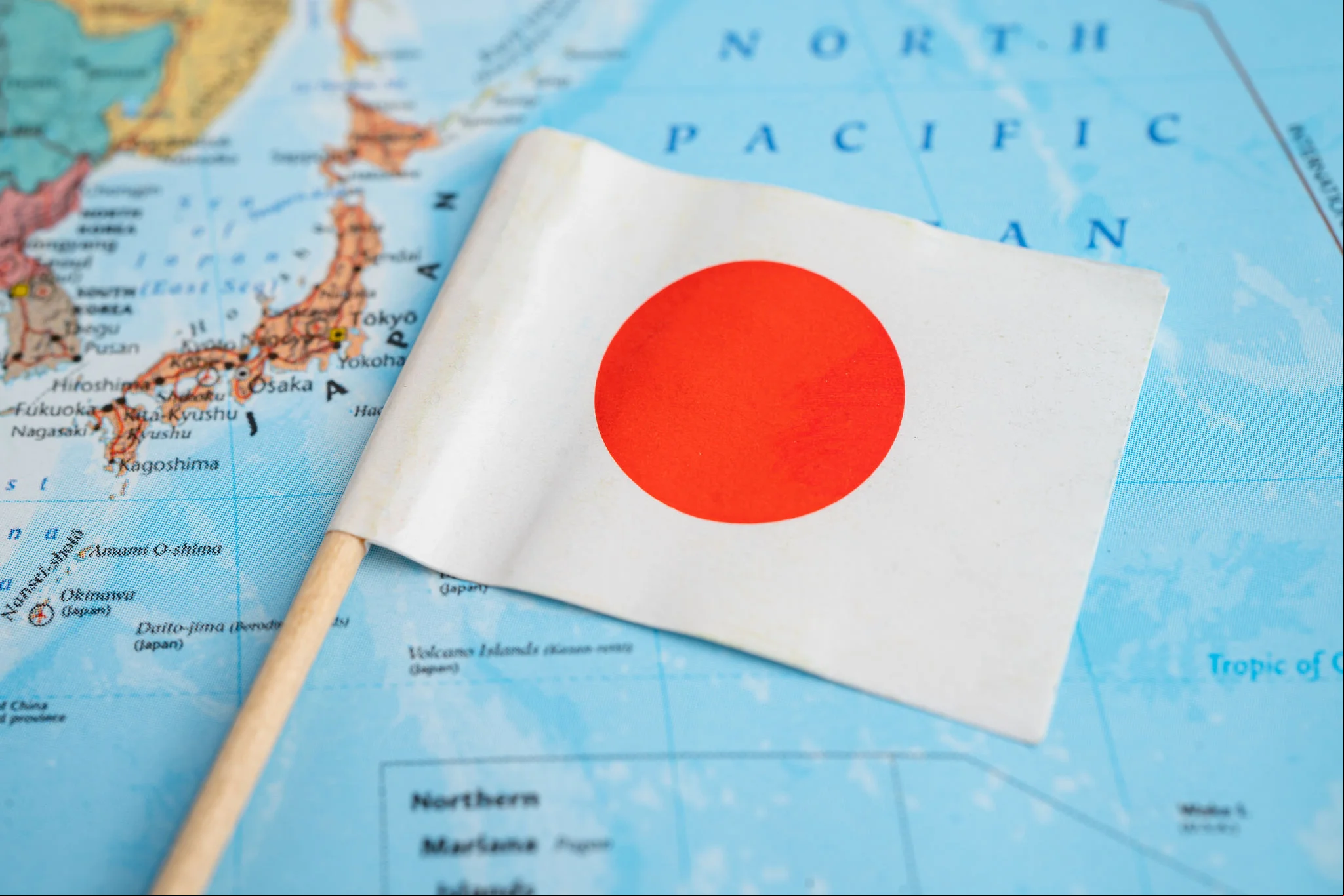 Impulso das Exportações: confira nova edição com dados do comércio exterior do primeiro trimestre de 2025 e especial sobre relações com o Japão