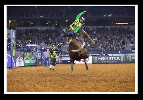 Promoção de ações de marketing no Professional Bull Riders e Professional Golfers Association